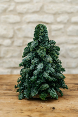 Sapin naturel